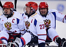 Минспорт России присвоил новые спортивные разряды югорским следж-хоккеистам