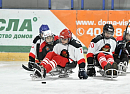 Оренбургская команда по следж-хоккею победила на турнире «Степные огни»