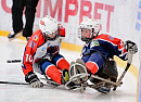 В Южно-Сахалинске прошел «Добрый матч» по следж-хоккею