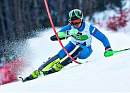 Паралимпийская сборная России принимает участие в серии международных соревнований по горнолыжному спорту в Австрии