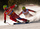 В Ла Молине завершился Чемпионат Мира IPC 2013 по горнолыжному спорту