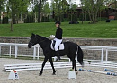 В Туле прошли конные соревнования для лиц с ограниченными возможностями здоровья