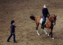 В Ярославле проходит открытый региональный чемпионат по конному спорту в паралимпийской выездке