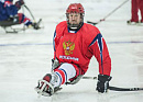 «Феникс» и сборная РФ по следж-хоккею сыграли в «Витязе»