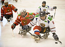 В Тульской области завершился первый круг чемпионата Росии по следж-хоккею