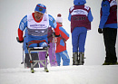 Российская сборная завоевала две золотые медали в эстафетах на Кубке мира IPC по лыжным гонкам в  Сочи