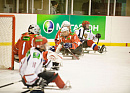 Хоккеисты «Кубани» сыграют в следж хоккей
