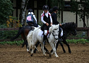 Фестиваль по конному спорту для детей-инвалидов состоится в Котельниках 7 октября