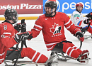 В Канаде завершился международный турнир по следж хоккею World Sledge Hockey Challenge