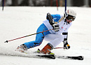 Сборная команда России по горнолыжному спорту завоевала 8 медалей на Кубке Европы IPC