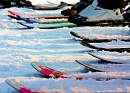 Соревнования по горнолыжному спорту для детей‑инвалидов пройдут в Подмосковье 26 февраля