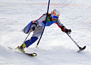 Состав сборной РФ по горным лыжам на Паралимпиаду утвердят 27 января